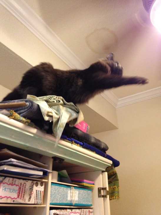 File May 12, 8 47 30 PM