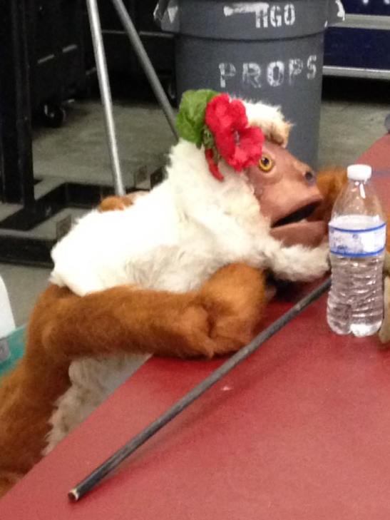 14463277_10205839794112580_783167834956331022_n