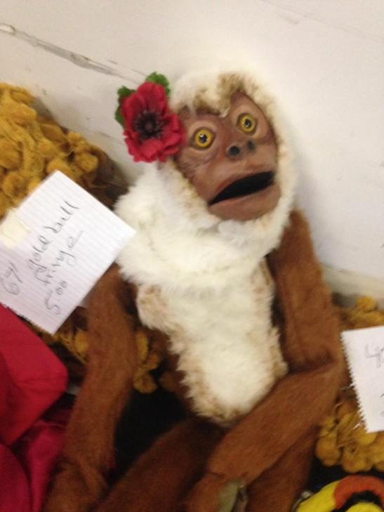 14563536_10205833666239387_9167428605270660735_n