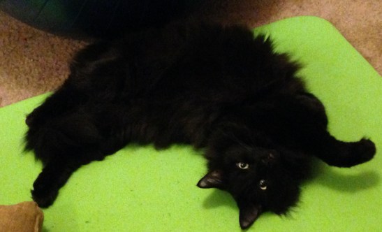 Photo Aug 03, 7 54 51 PM